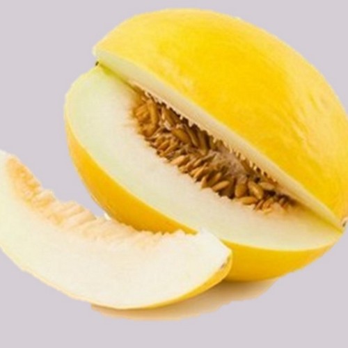 Cucumis melo melo 'Ananas' - Harilik melon 'Ananas'